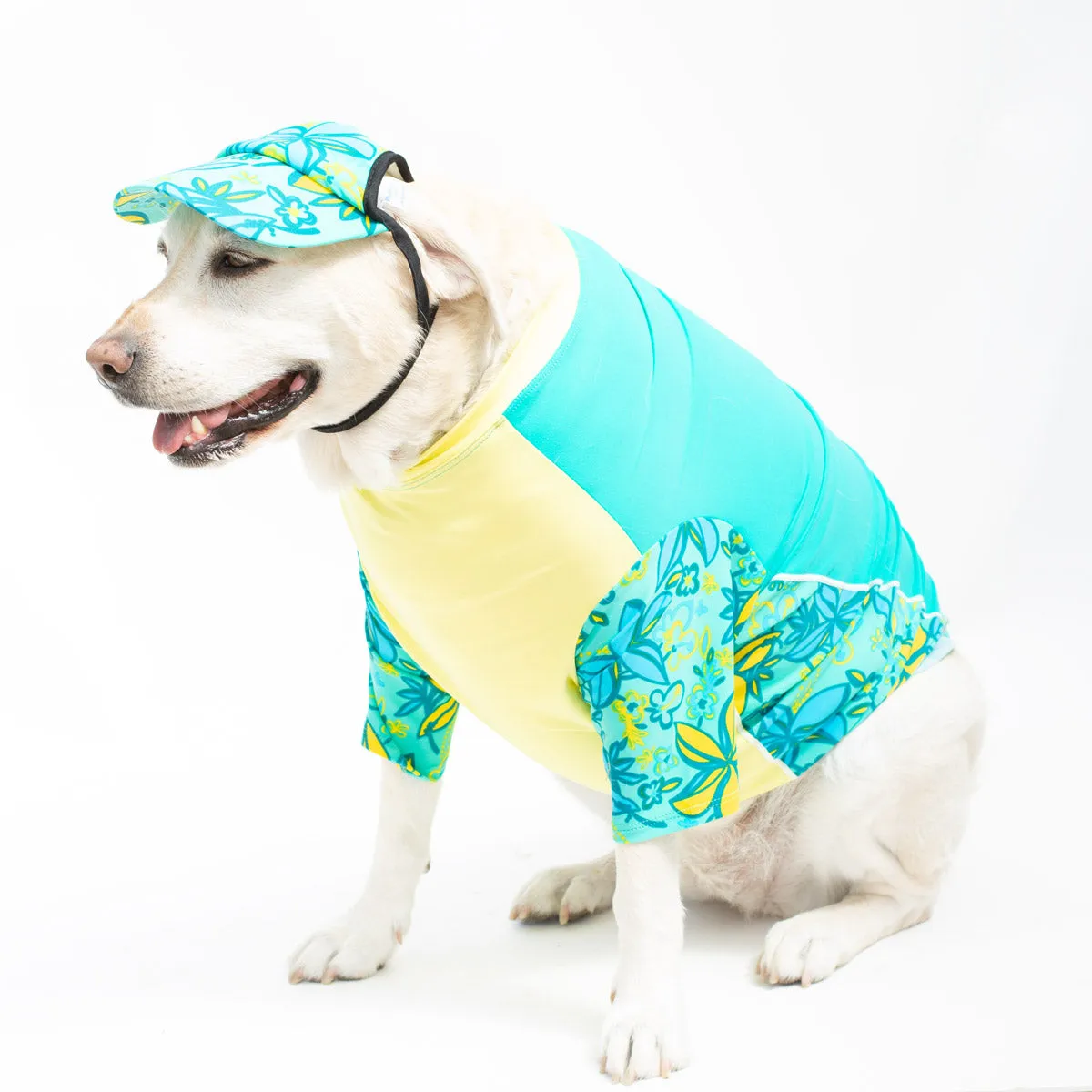 Dog Visor Sun Hat - Sea