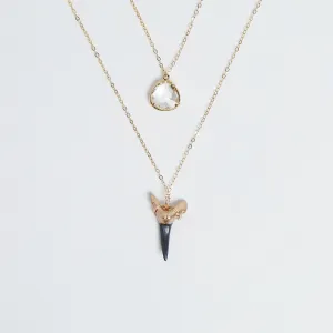 Jetty Shark Tooth Necklace