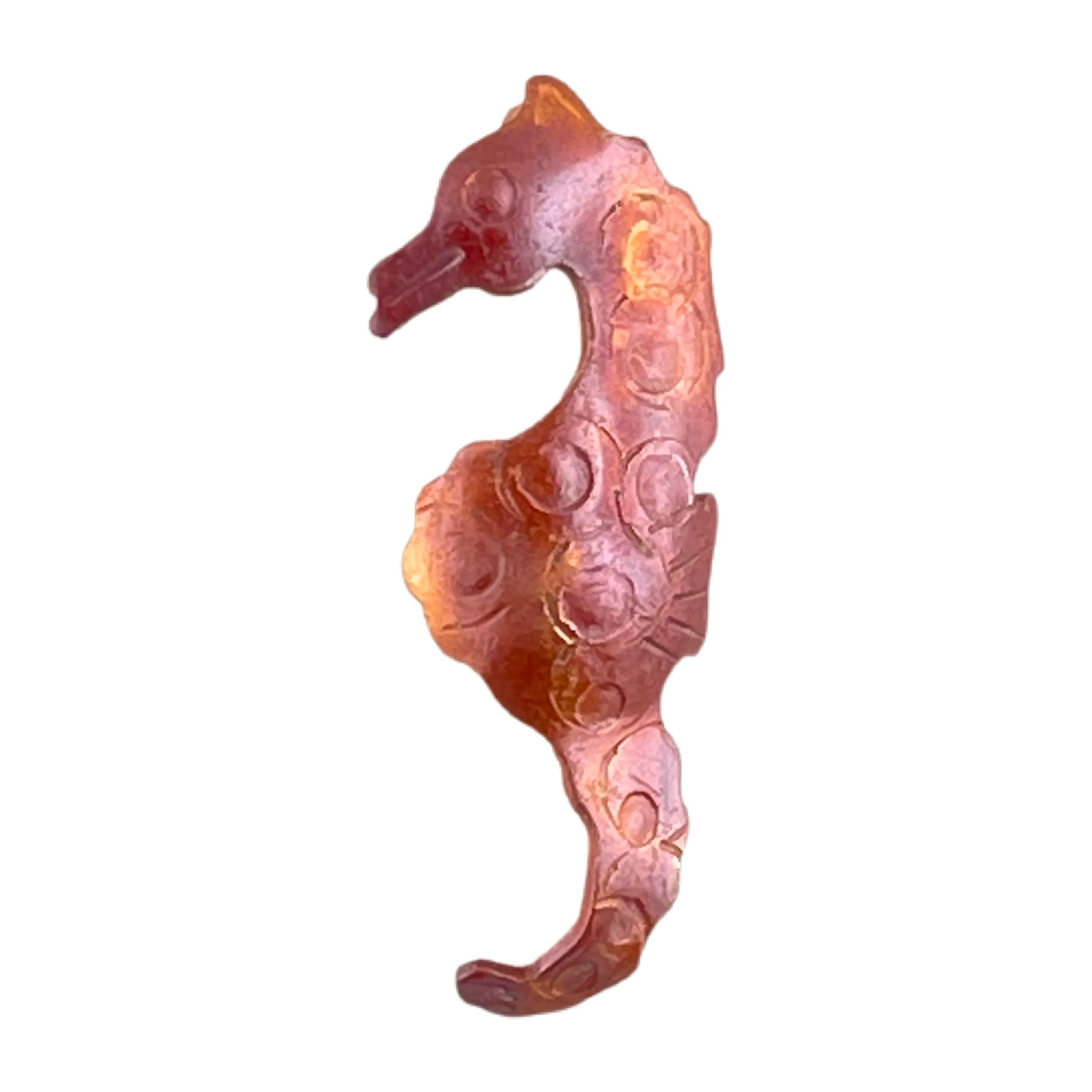 Little Copper Sea Horse Facing Left