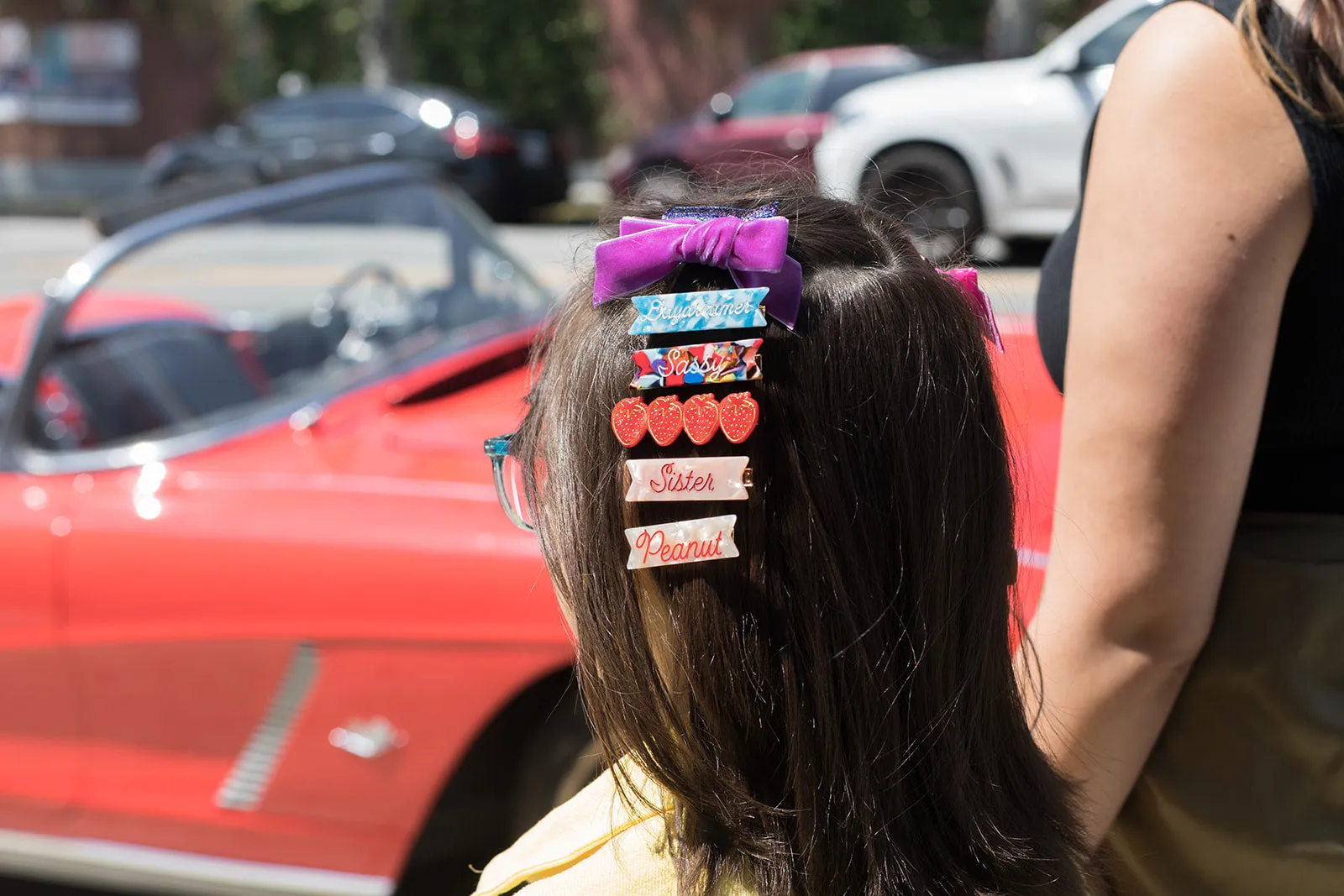 Sassy Hair Clip