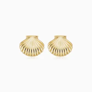 Seashell Studs